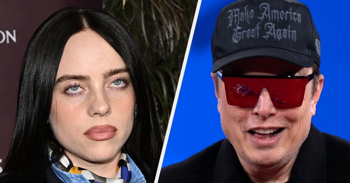 Billie Eilish kritisiert Elon Musk wegen seines Trillionärsstatus als ...