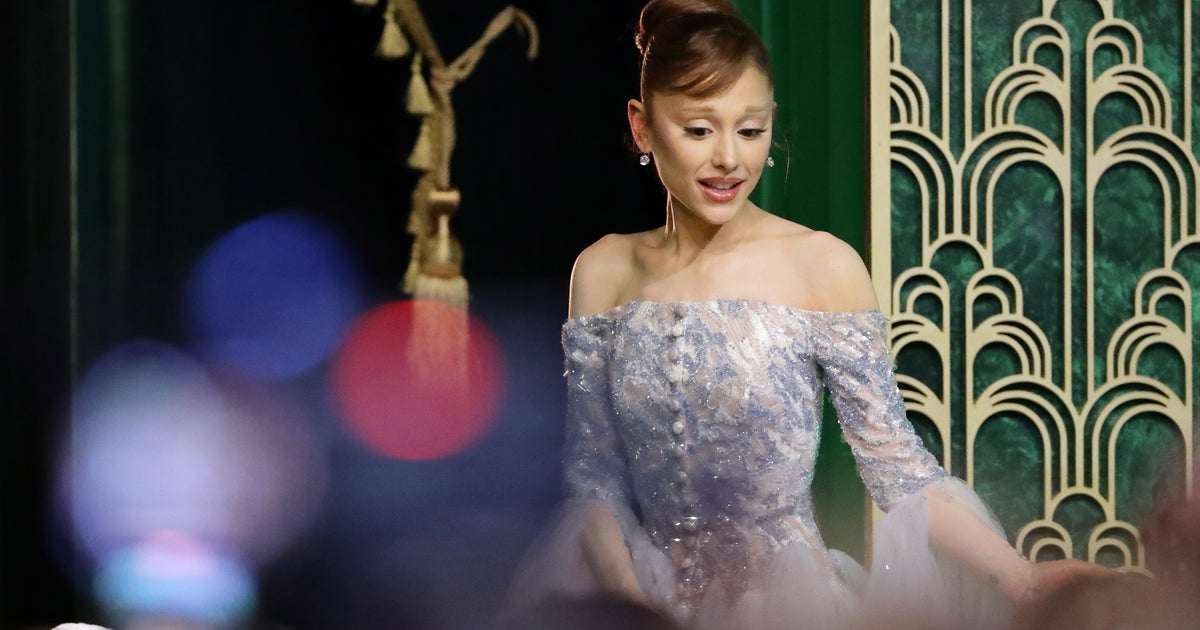 Wicked Premiere Intruder Who Accosted Ariana Grande Given Prison Sentence