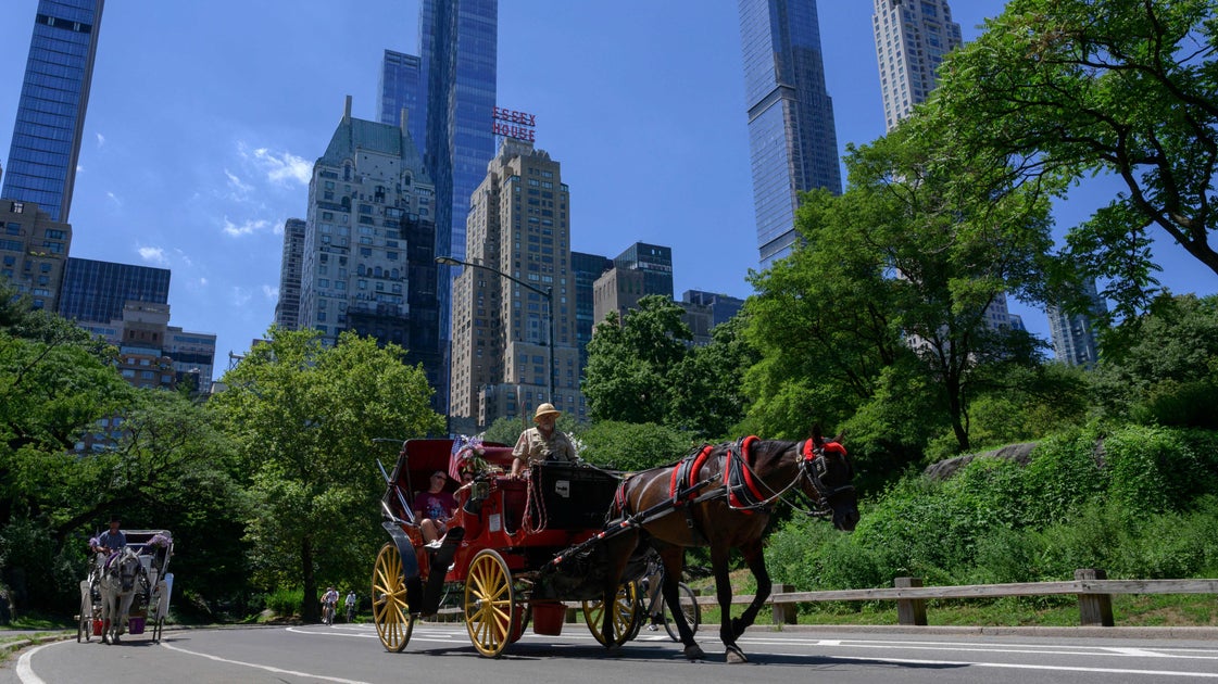 Fatal Horse Carriage Accident in Central Park Claims Indian Teen