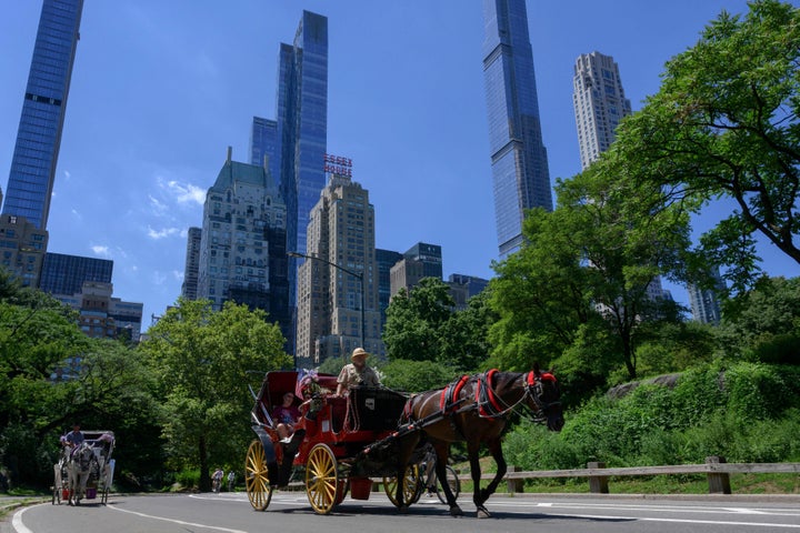 Proposal To Ban Central Park Horse Carriages Voted Down By NYC Council Committee