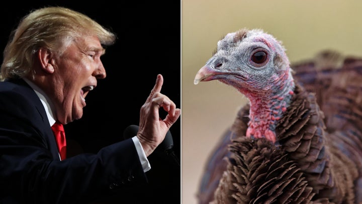 President Donald Trump and a turkey.