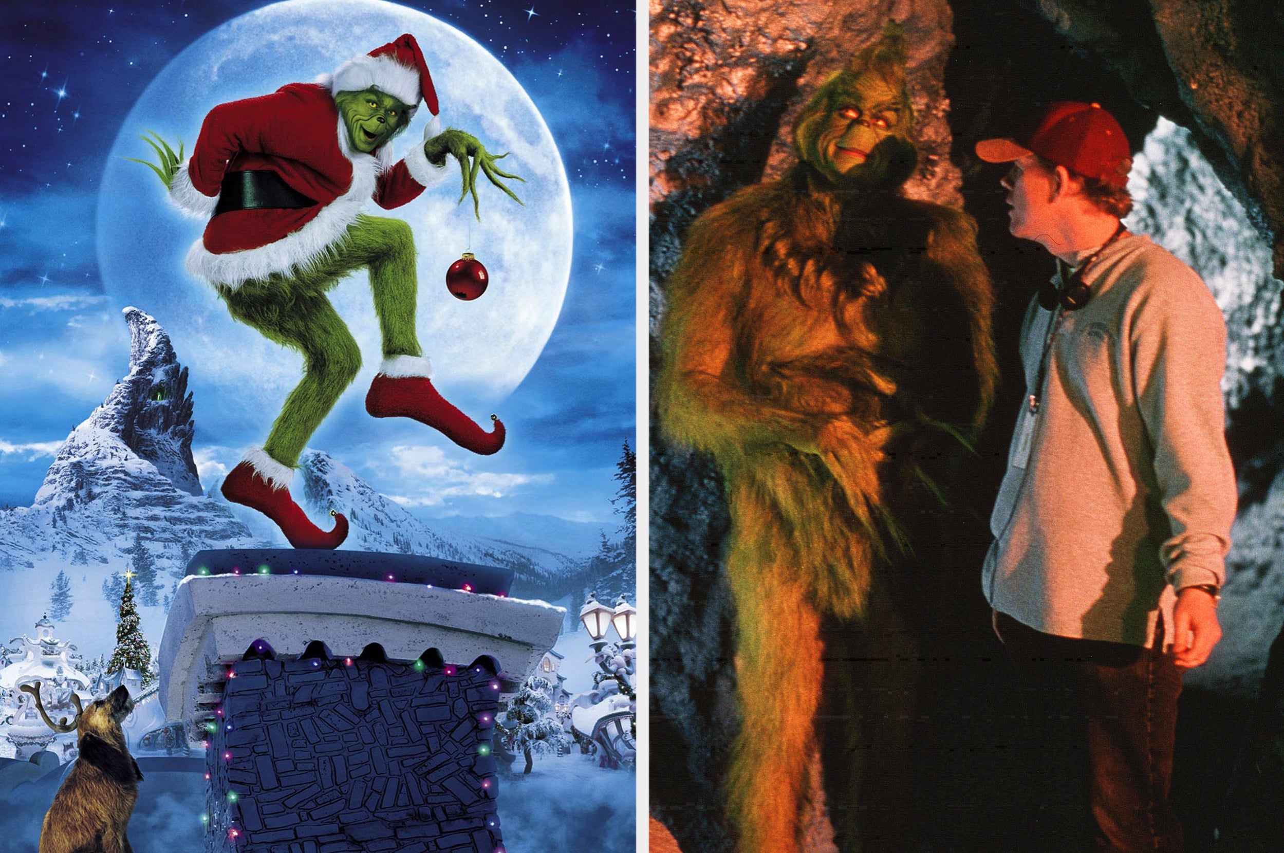 14 Facts You Probably Never Knew About The Classic Movie The Grinch