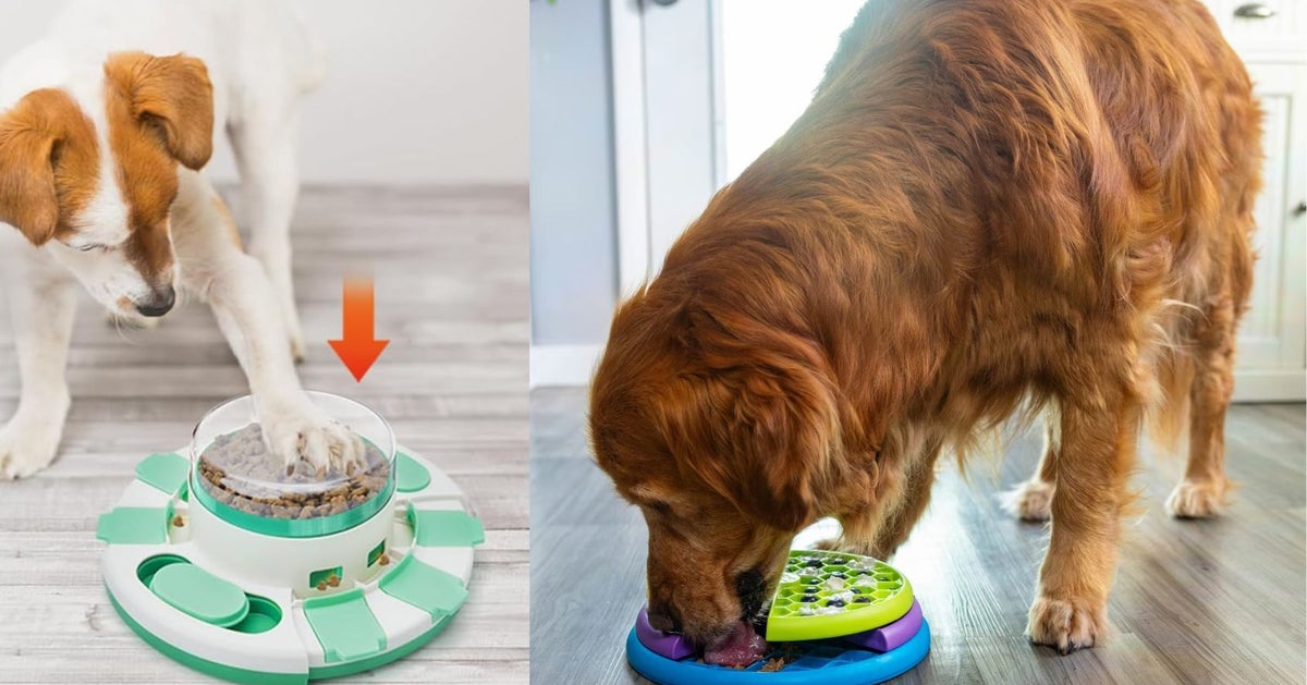 These Toys Can Actually Improve Your Dog's Cognitive Abilities, According To Vets