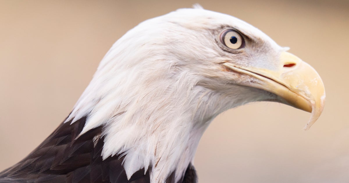 Eagle-Eyed Motorist Calls 911 For Strangest Reason Possible