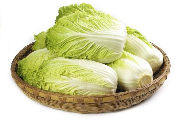 白菜（イメージ画像）