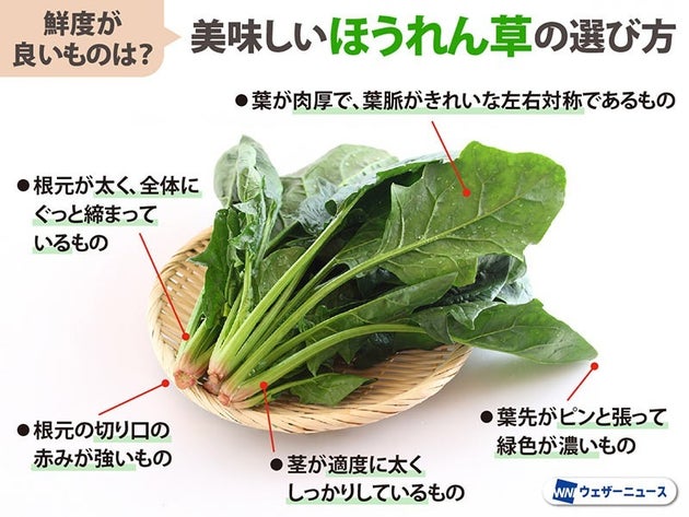 ほうれん草の選び方