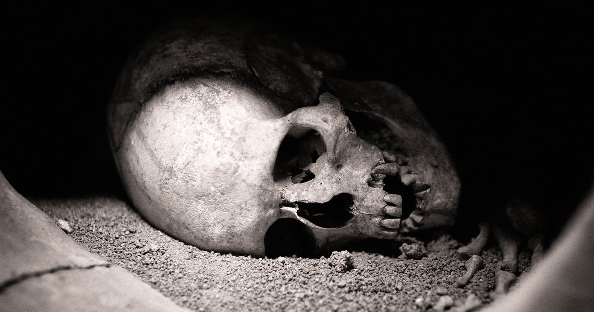 Construction Workers In Boston Make Startling Discovery. Officials Say It's Not What It Looks Like.