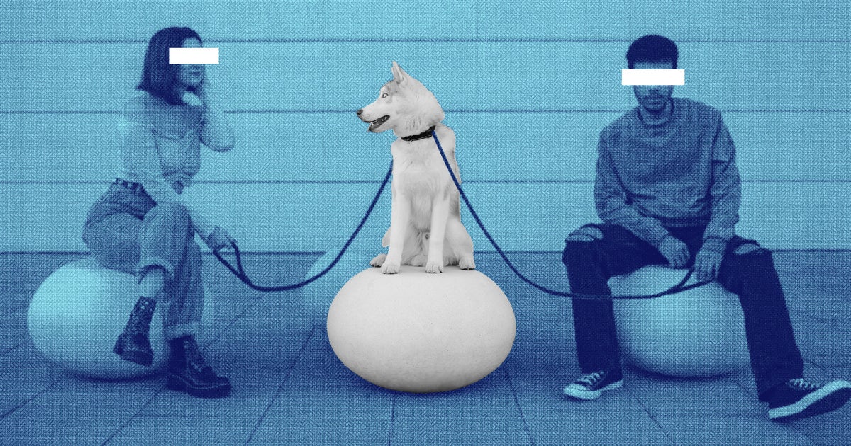 Pet-Nups Are On The Rise - And They Could Help You Keep What's Yours