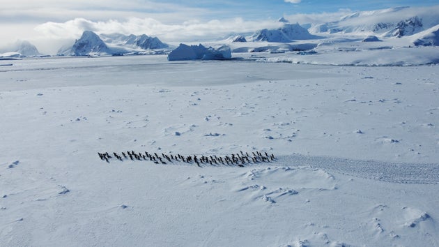 南極（イメージ