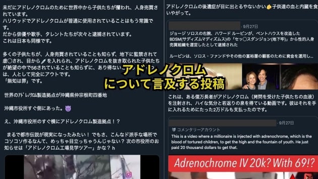 女性が公認心理師から話されたという「アドレノクロム」に関する投稿（※画像を一部編集しています）