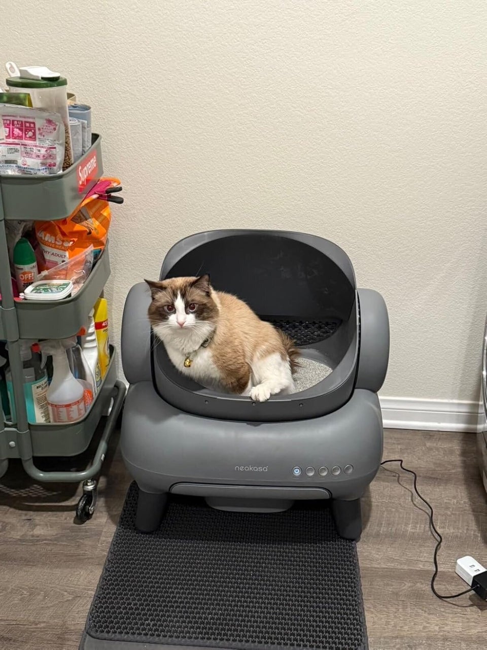 Cyber Week Deals For Cat Owners | HuffPost Life