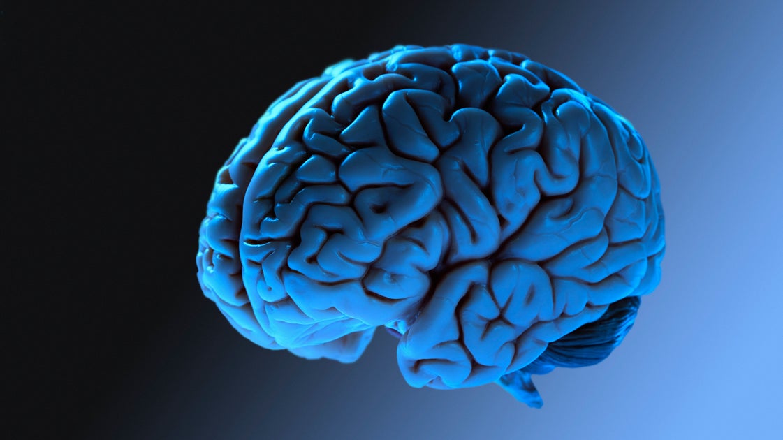 New Study Reveals When The ‘Adulthood’ Brain Phase Actually Starts — And ...
