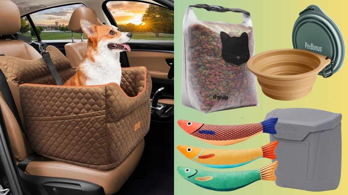 15 Pet Car Trip Accessories And Essentials