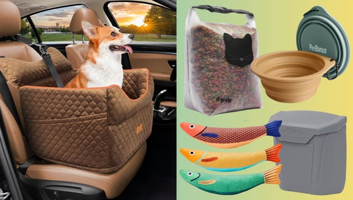 Sitemapcdatahttpsomobeldreferenzcominteresting Pet Accessories For Vehicles Images