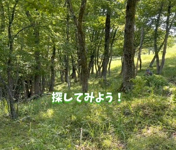 探してみよう！