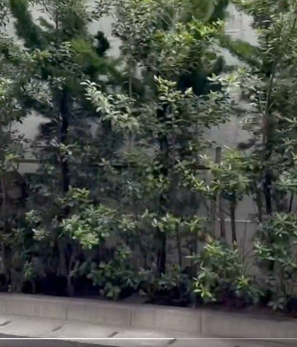 探してみよう！動画の中では2人隠れています。