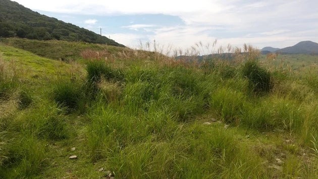 探してみよう！