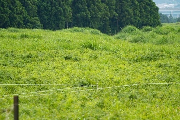 あなたはわかった？