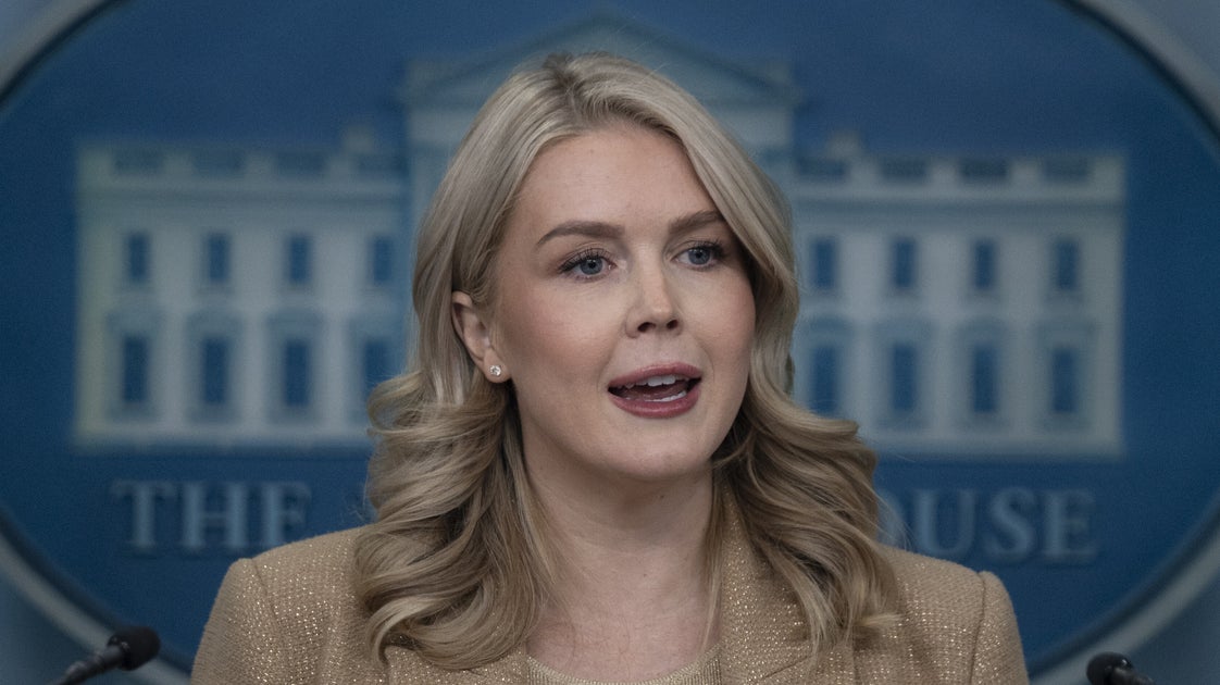 ICE-Detained Mom Of Karoline Leavitt's Nephew Speaks Out