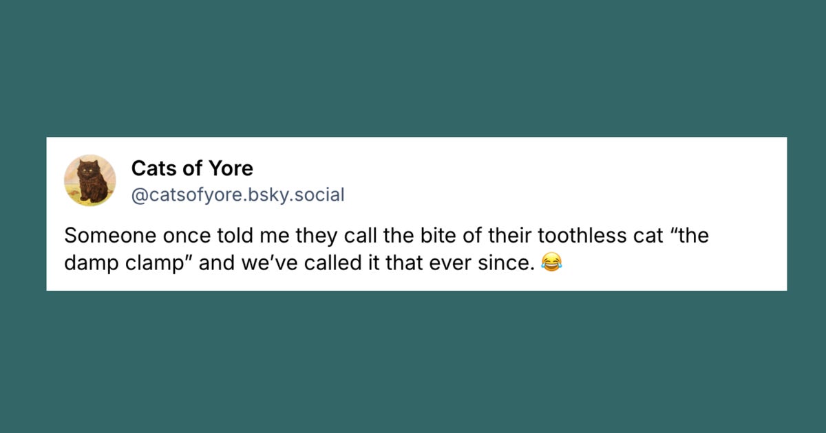 20 Of The Funniest Posts About Cats And Dogs This Week (Dec. 6-12)