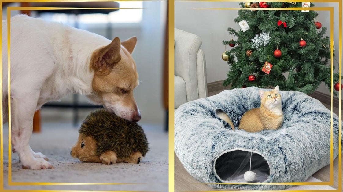 15 Holiday Treat And Toy Gifts Your Pet Will Love