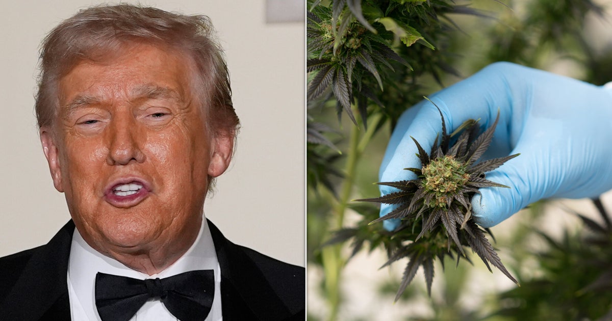 Trump May Finally Reschedule Pot, And Cannabis Insiders Have Concerns