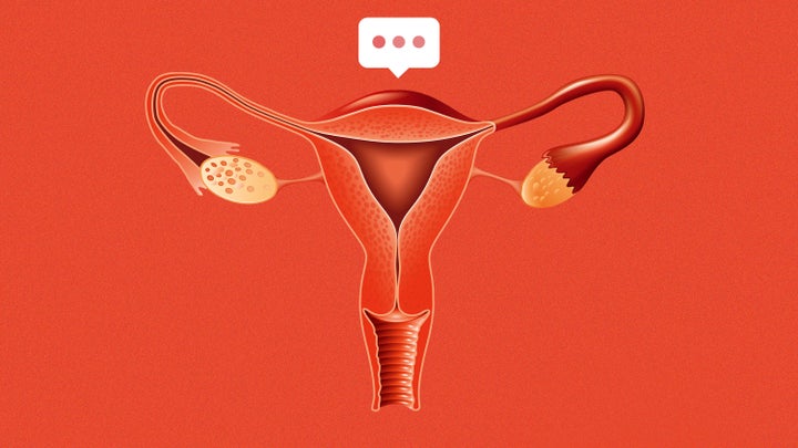 To conduct the study, which was recently published in the journal Sex Roles, the researchers surveyed 457 women from the United States, spanning from age 18 to 81. (The average age was around 37 years.)