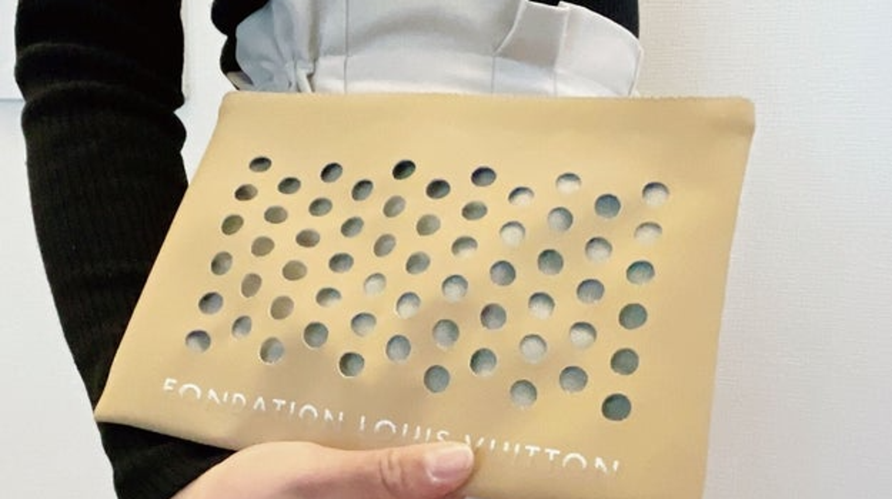 注目度バツグン！ルイ・ヴィトンの「6000円台バッグ」が使い勝手無限で 