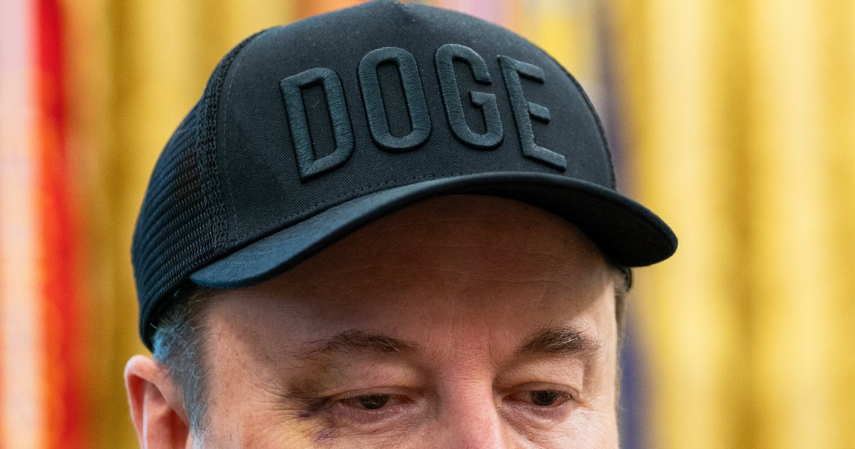 Can An Old DOGE Learn New Tricks?