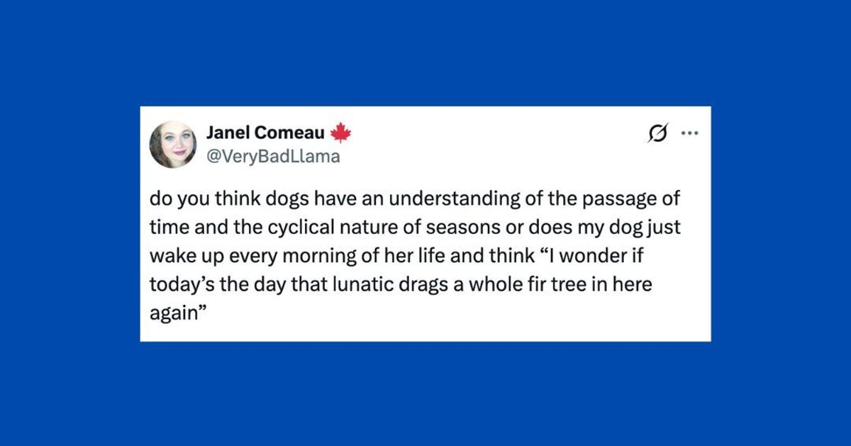 27 Of The Funniest Posts About Cats And Dogs This Week (Dec. 13-19)