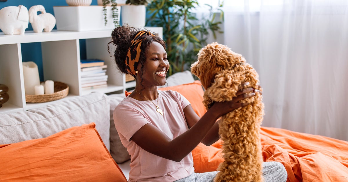 Dog Owners Are Ditching E-Collars For This Gentle Anti-Bark Device And It's 38% Off