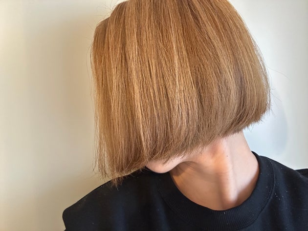 最後にブラッシングを加えたらかなり頭がすっきり