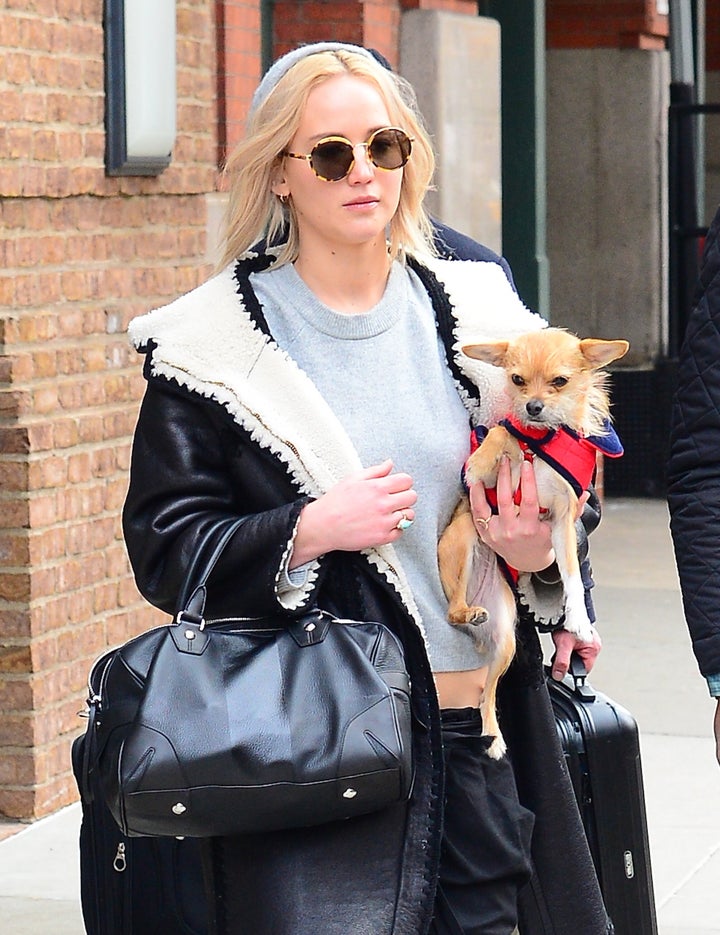 Jennifer Lawrence explains difficult decision to rehome her beloved dog 1 Lawrence is seen with her dog Pippi in Soho on February 19, 2016 in New York City.