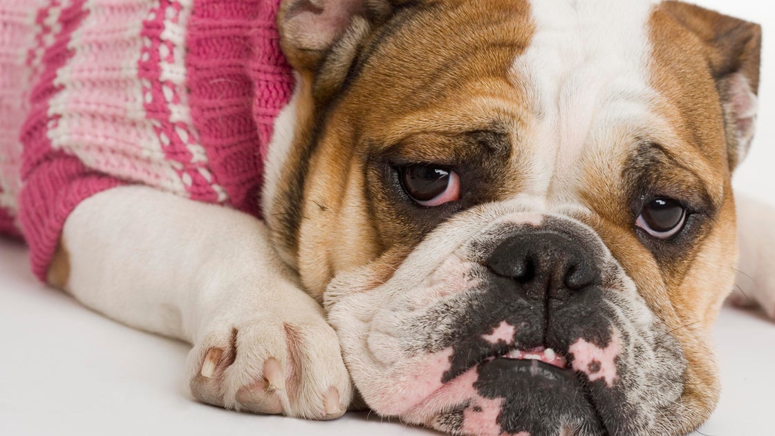 5 Ways Your Makeup Is Making You Look Tired 5 Ways Your Makeup Is Making You Look Tired