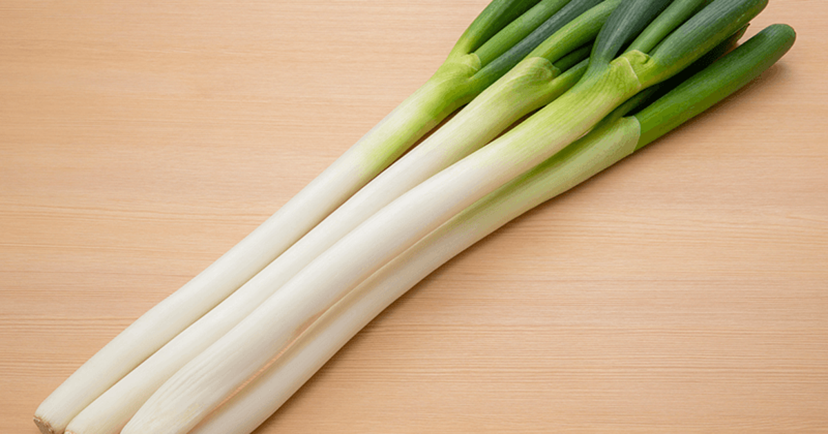 旬の長ネギの選び方のコツは？甘い一本を見分けるポイントは「境目」にあった