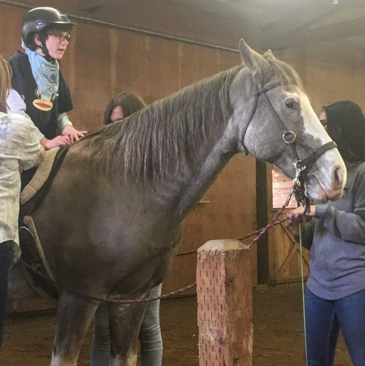 August at Aspire Therapy for equine-assisted physical therapy.