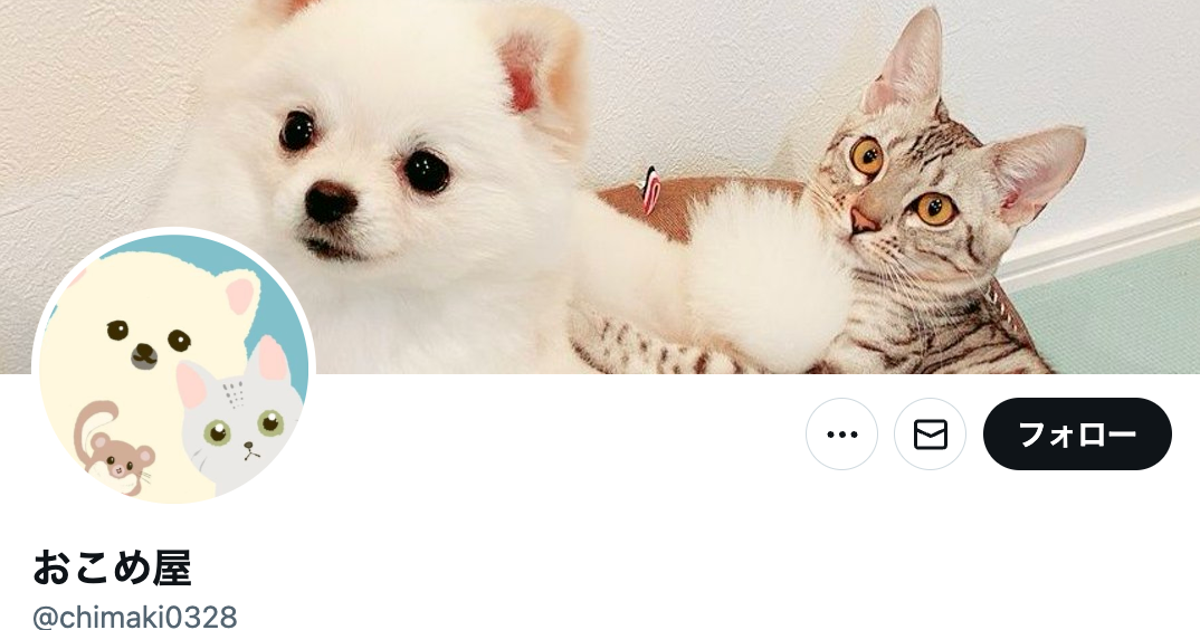 ポメマルの生後5カ月⇒5歳が別の犬すぎた。ビフォアフに「性格はあまり変わっていないのですが…」