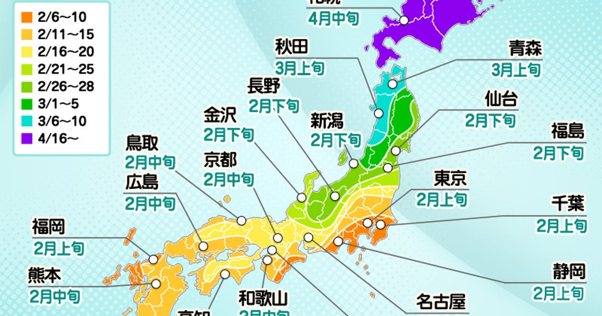 今年の花粉、いつから？もうすぐそこの飛散開始→全国的に「平年超え」予想。北陸・東北・北海道は大幅増の見込み