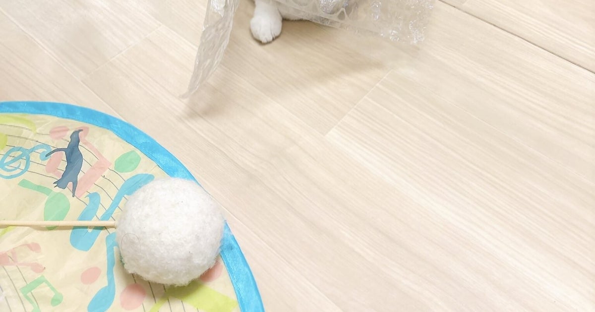 プチプチに包まれた愛猫が飼い主を見上げて...⇨キュートすぎる仕草に「あったかいんだな」「自ら梱包されに行ってる」と反響