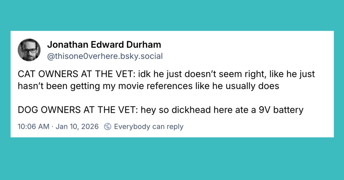 20 Of The Funniest Posts About Cats And Dogs This Week (Jan. 10-16)