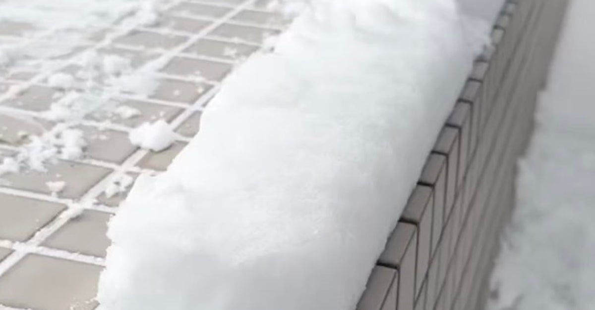 「雪ひよこ」を大量生産。函館の寺の雪遊びに「やりたい」「楽しそう」と反響
