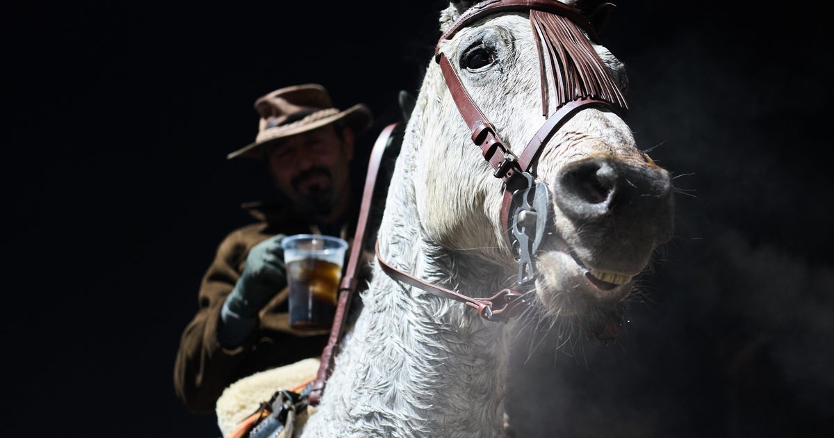 炎の中を馬が駆け抜ける伝統行事、過疎地方に人々を呼び戻す。動物愛護団体からは批判も【スペイン】