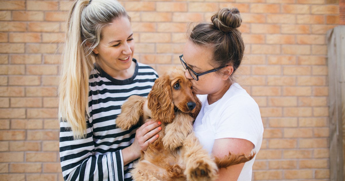 Your Dog May Be Similar To An 18-Month-Old Child In 1 Fascinating Way