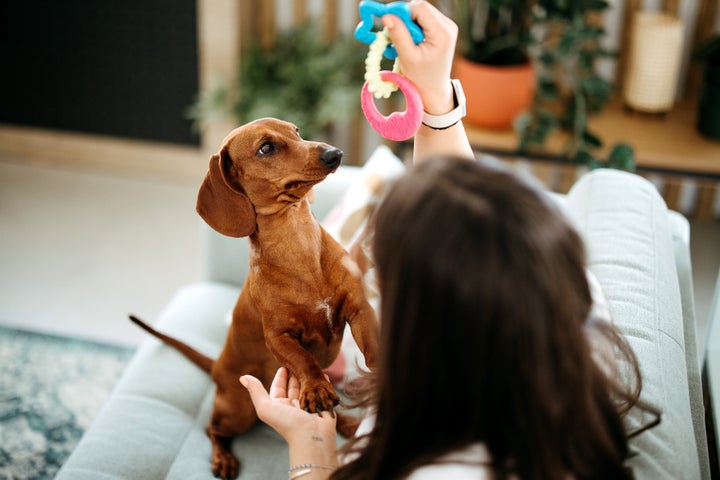 Shany Dror, the study's lead author, said she's heard so many anecdotes from dog owners who've noticed how close an eye their dogs seem to keep on them when they talk.