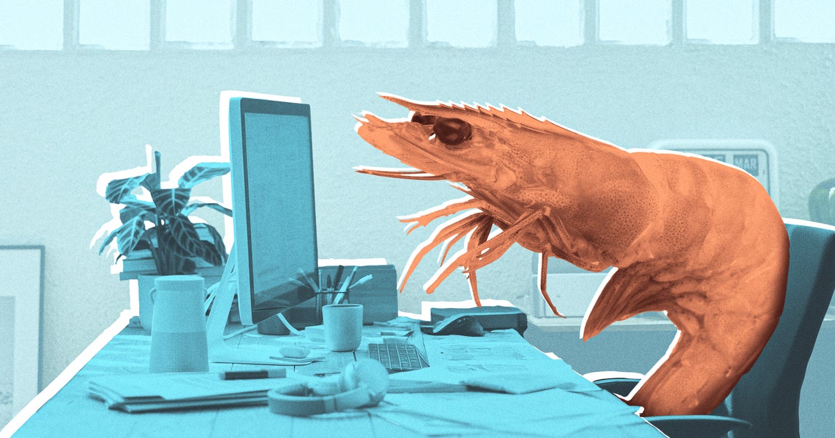 How To Stop Being A ‘Desk Shrimp’ And Improve Your Desk Posture