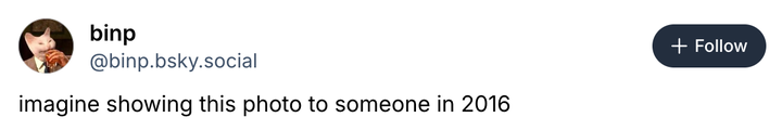 Screenshot @binp.bsky.social via Bluesky