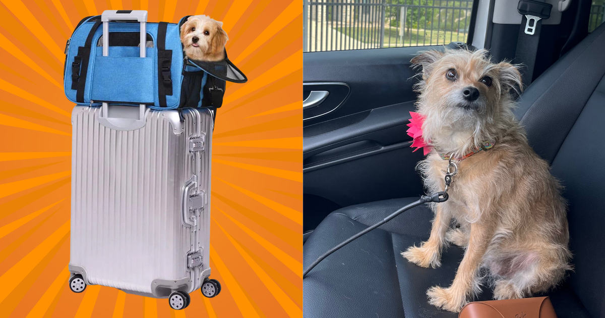 I Don't Travel Without My Rescue Pup, So I Combed The Internet For These 10 Airline-Friendly Carriers