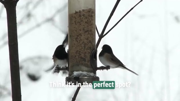 697d10321b000016436fe6d9.jpeg?ops=scalefit_630_noupscale