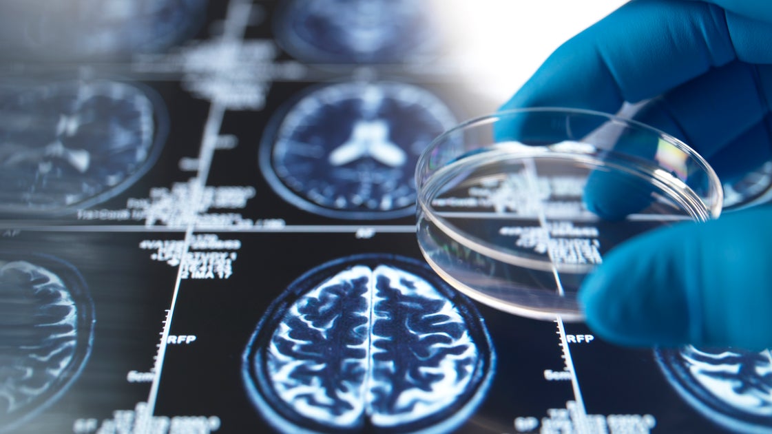 Study Finds Babysitting Grandchildren May Improve Brain Health