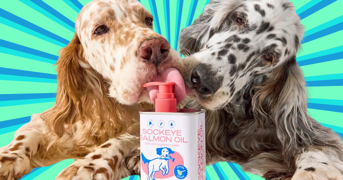 After 12 Years Of Shedding, Dog Owners Call This Fish Oil A ‘Game Changer’ — And It’s Finally Under $20